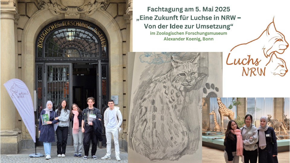 Luchs Fachtagung