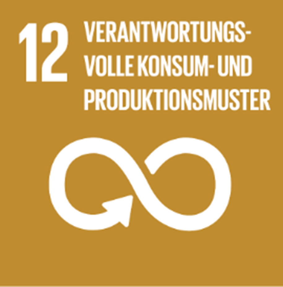 Ziel 12