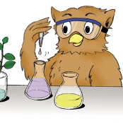 eule_chemie_bunt6